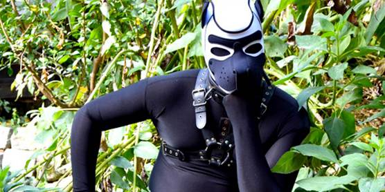 MEMBER ARTICLE: Puppy Play, Furries and Roleplay 